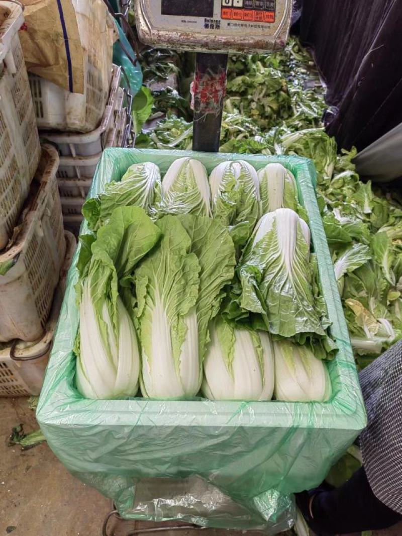 精品蔬菜白菜