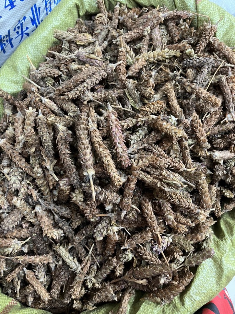 夏枯草夏枯草夏枯球今年新货新花中大
