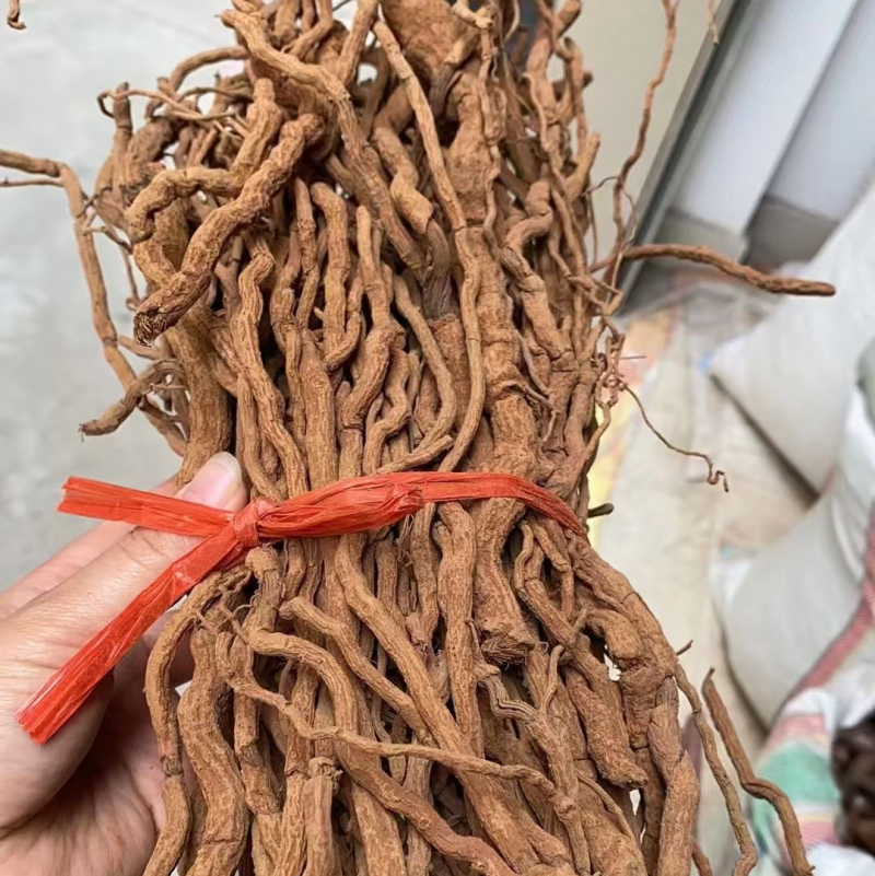 胡椒根靓胡椒根海南胡椒根野生胡椒根细根