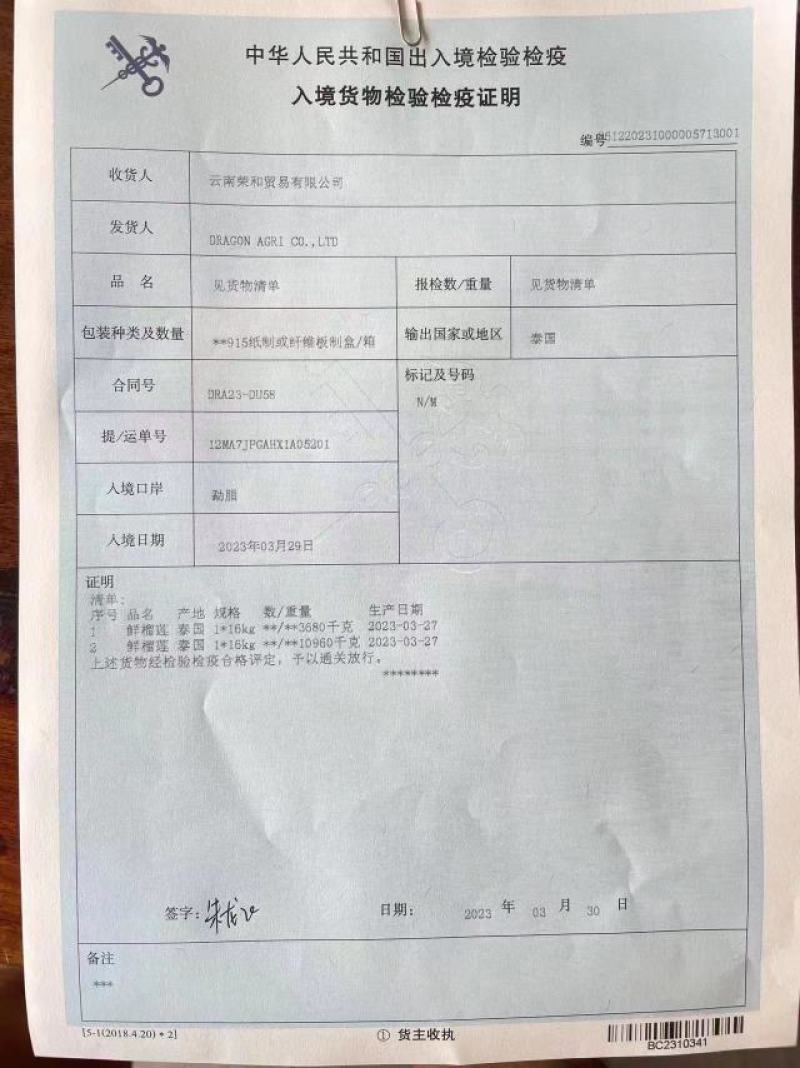进口泰国甲伦金枕榴莲新鲜榴莲一件代发招代理榴莲2-9斤