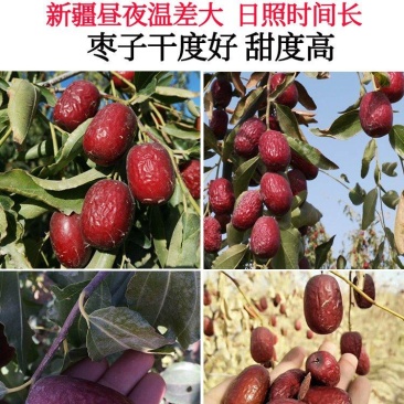 新疆灰枣，特级，一级，产地，新疆若羌，吊干枣，人工筛选，
