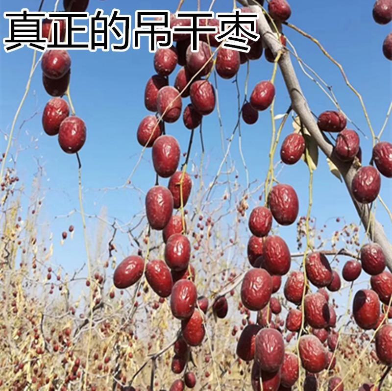 新疆灰枣，特级，一级，产地，新疆若羌，吊干枣，人工筛选，