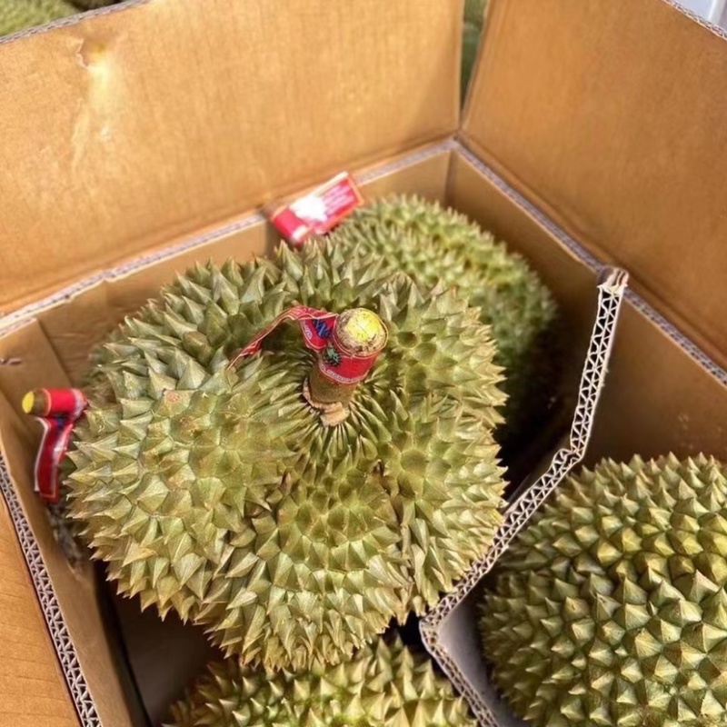 金枕榴莲质量保证超市电商一件代发平台