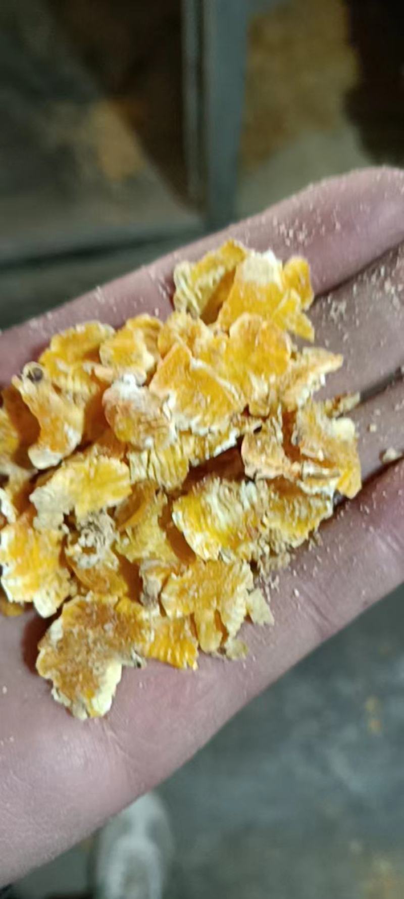 玉米压片720克以上容重好玉米，过精选筛去杂，去霉变粒