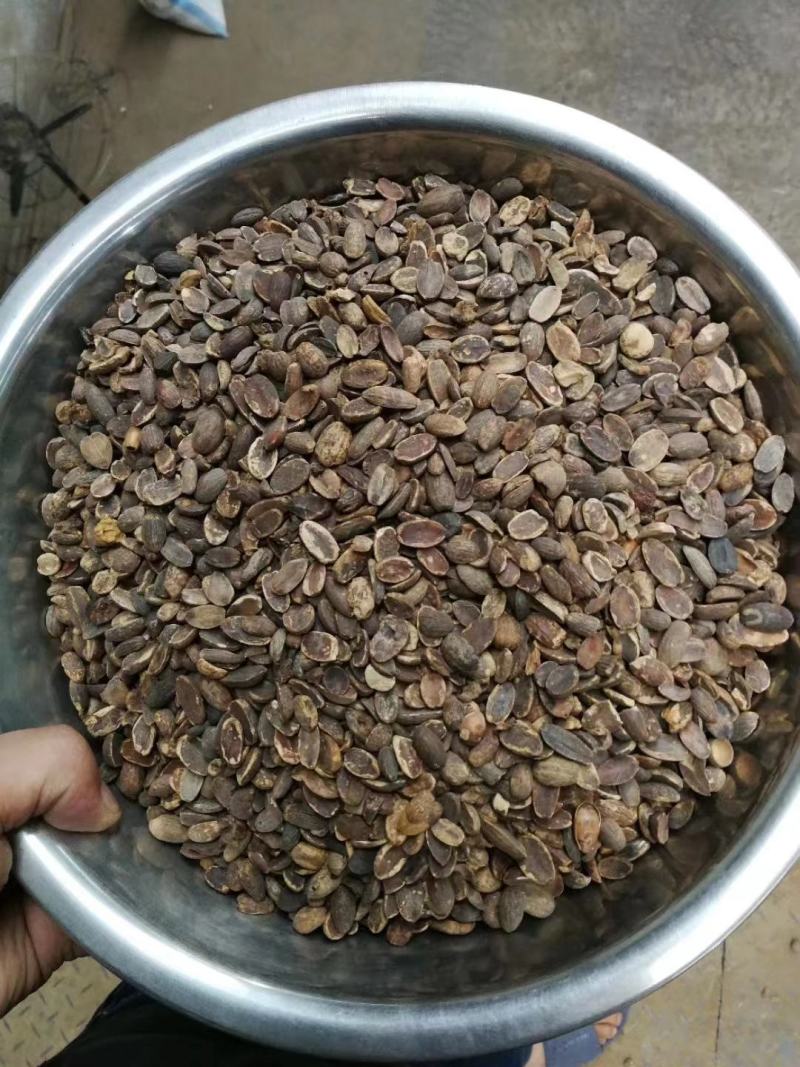 批发淀粉，贵州米橡淀粉，橡子豆腐粉，长期供应，货源稳定