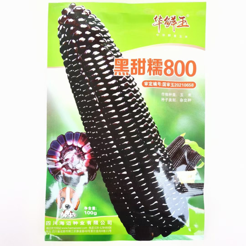海迈黑甜糯800黑糯玉米种子品种，审定品种甜糯