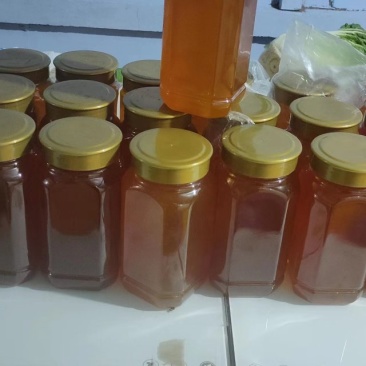 东北纯蜂蜜