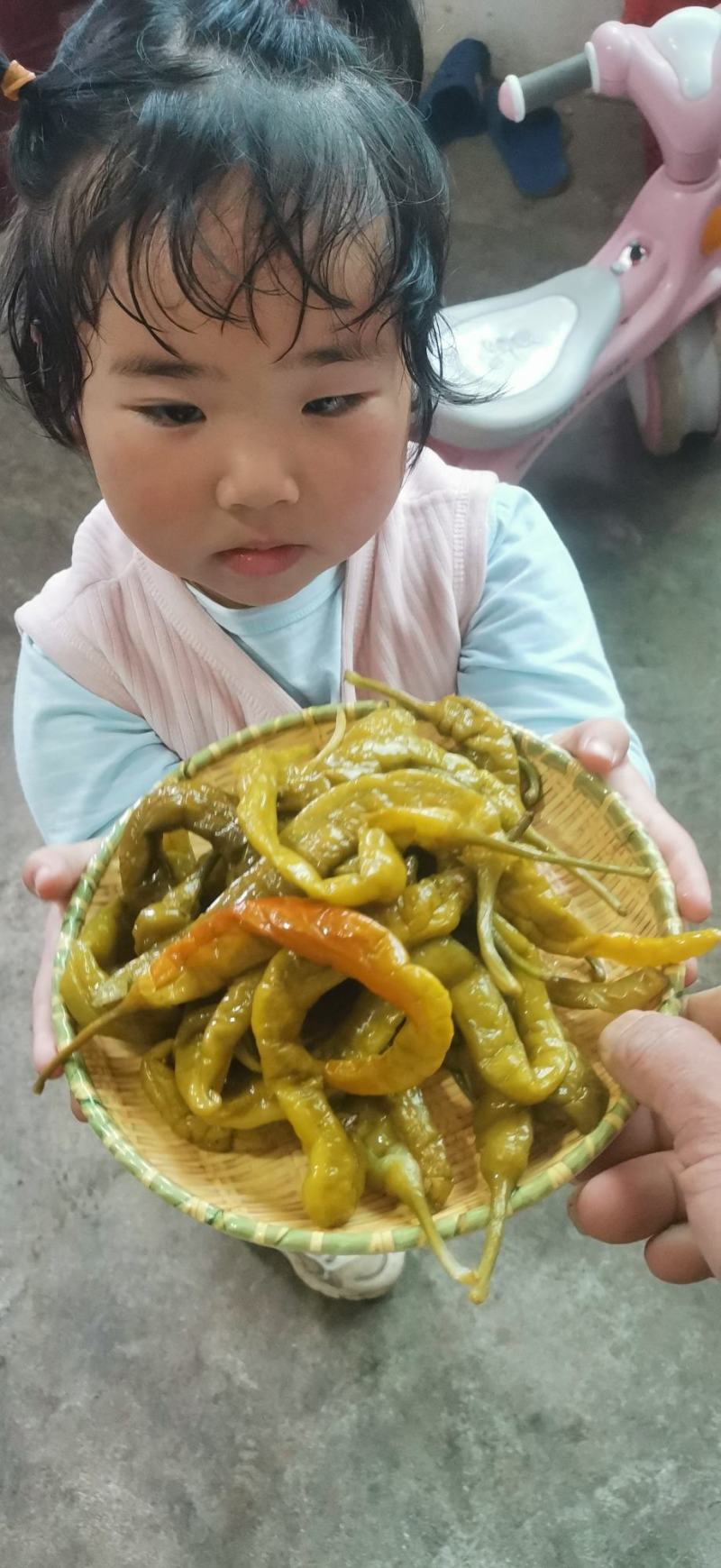 【泡菜】酸辣椒，泡辣椒买10吨送1吨，另外奖励3到5千元