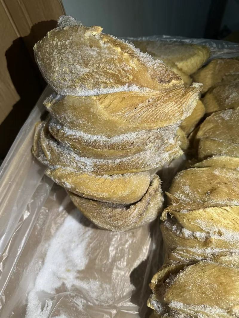 国产2627牛百叶，好箱好货吨位价优