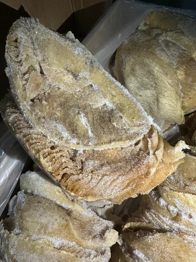 国产2627牛百叶，好箱好货吨位价优
