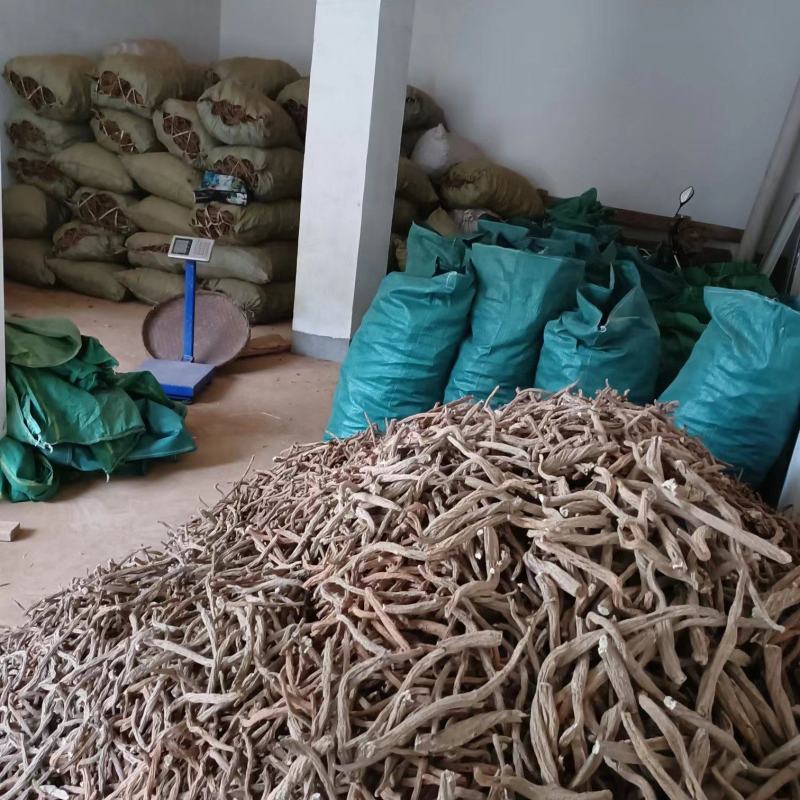 续断川断中药材批发量大从优不同规格欢迎各位老板联系洽谈