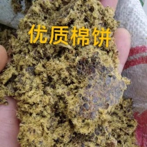 优质棉饼