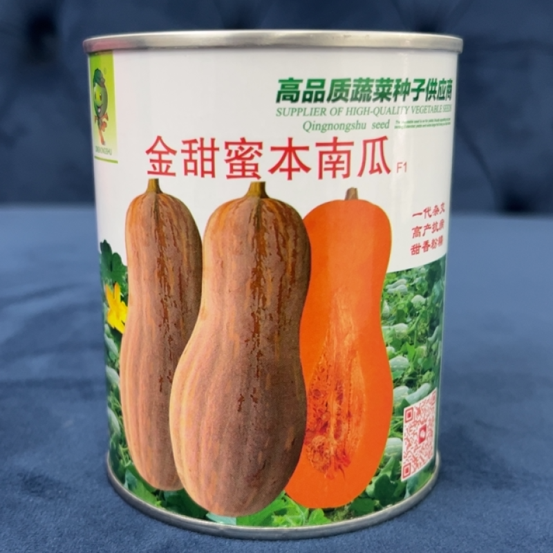 热销金甜蜜本南瓜种子熟期早品质好大果型产量高抗性好好