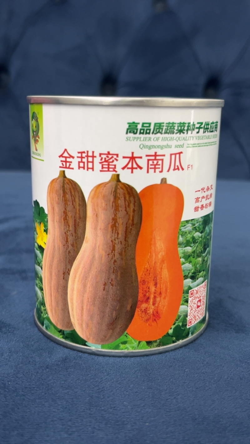 热销金甜蜜本南瓜种子熟期早品质好大果型产量高抗性好好