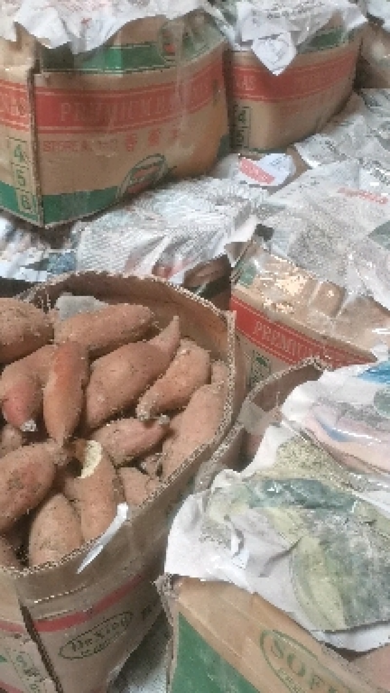 产地直发一手货源哈密脱毒薯苗，量大优惠欢迎大家来指导