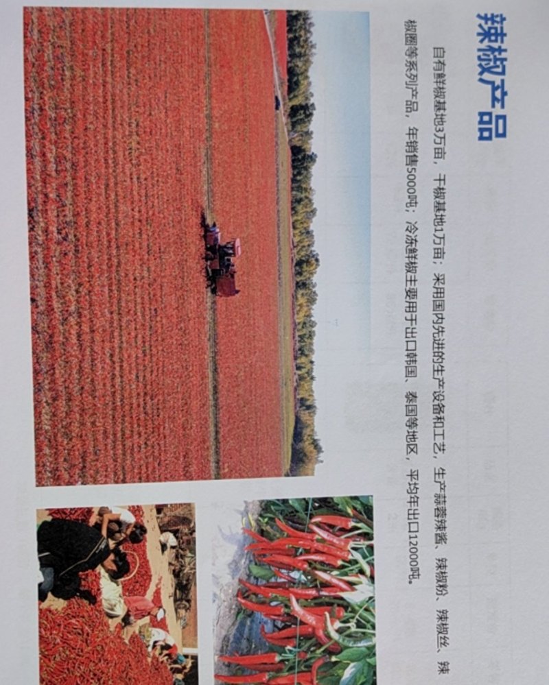 小米大米杂粮辣椒制品白面