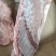 毛排规格10kg