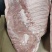 毛排规格10kg
