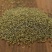 吴茱萸,中花吴茱萸,中药材批发,现货供应,量大从优