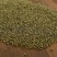 吴茱萸,中花吴茱萸,中药材批发,现货供应,量大从优