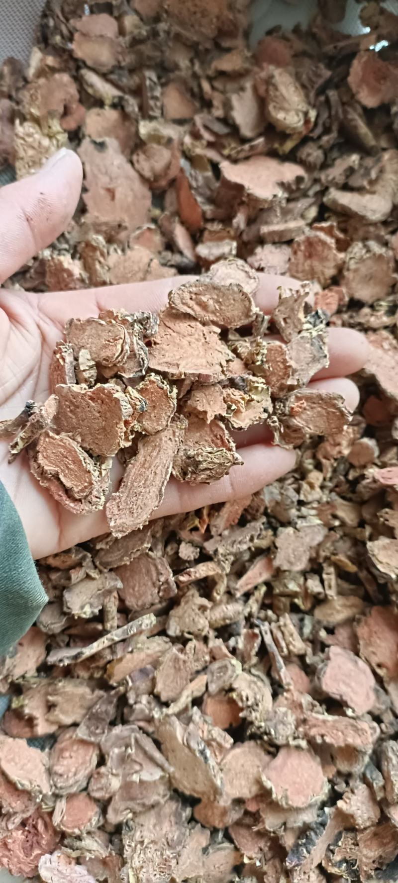 红景天，产地西藏，去皮大花切片，道地药材，大货供应