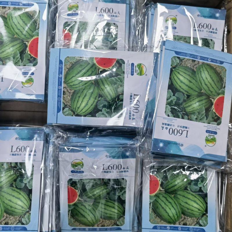L一600礼品西瓜种子早熟坐果整齐瓜重5斤甜度14.7