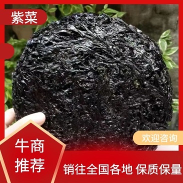 【牛商推荐】霞浦紫菜产地直发可批发可带包装欢迎订购