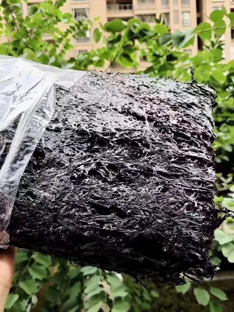 【牛商推荐】霞浦紫菜产地直发可批发可带包装欢迎订购