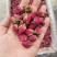 老店信誉产品月季花月季花茶新货无硫规格齐全