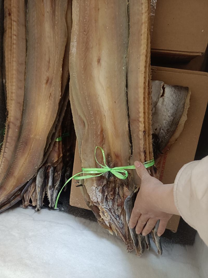 鳗鱼干