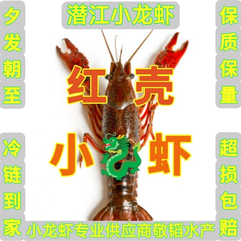潜江小龙虾小红中红大红炮头湖北小龙虾清水小龙虾