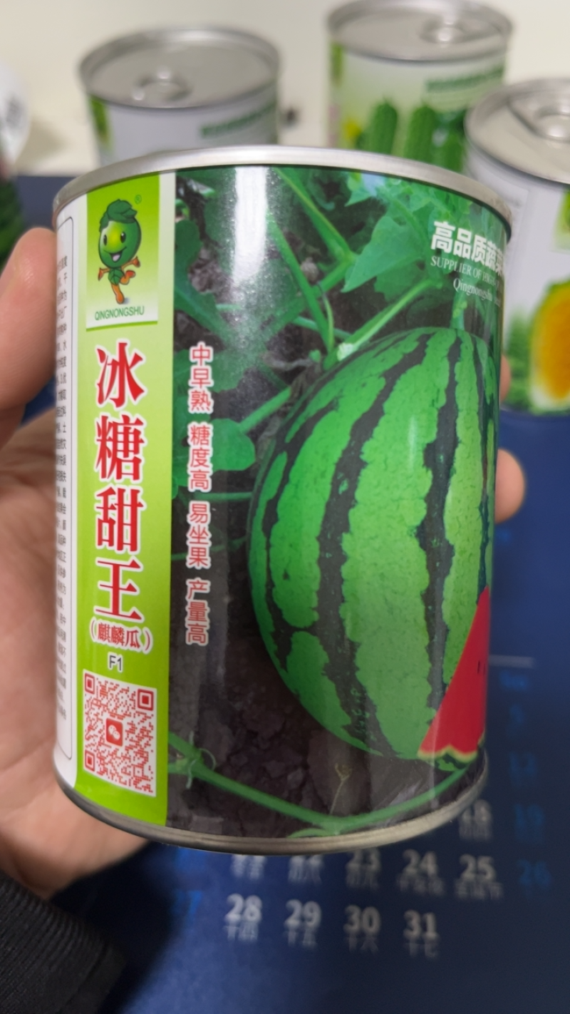 金美都西瓜冰糖麒麟早佳8424同源种子品质好甜度高耐储运