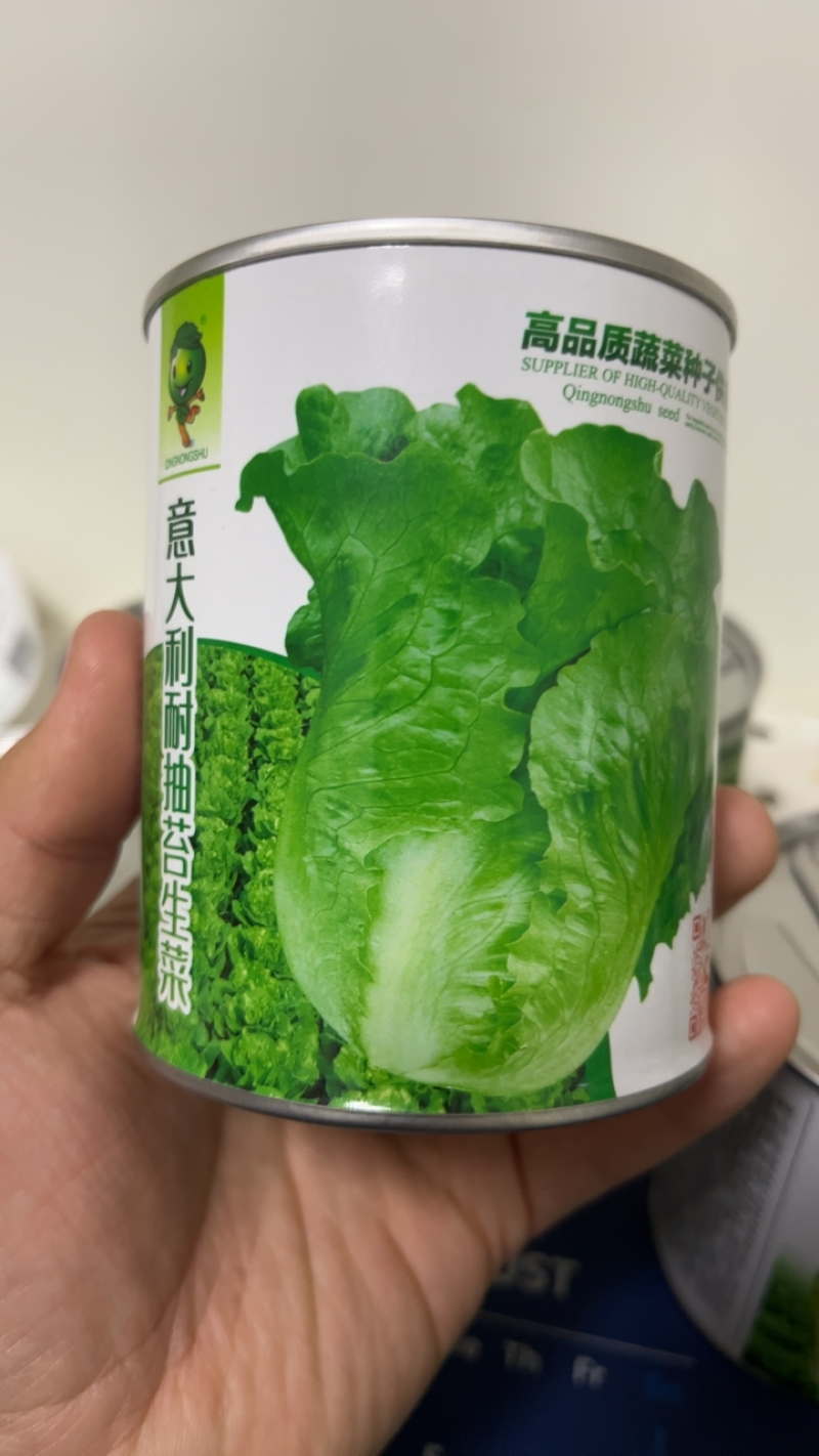 【精选】耐热耐抽薹意大利生菜种子口感爽脆叶片厚实
