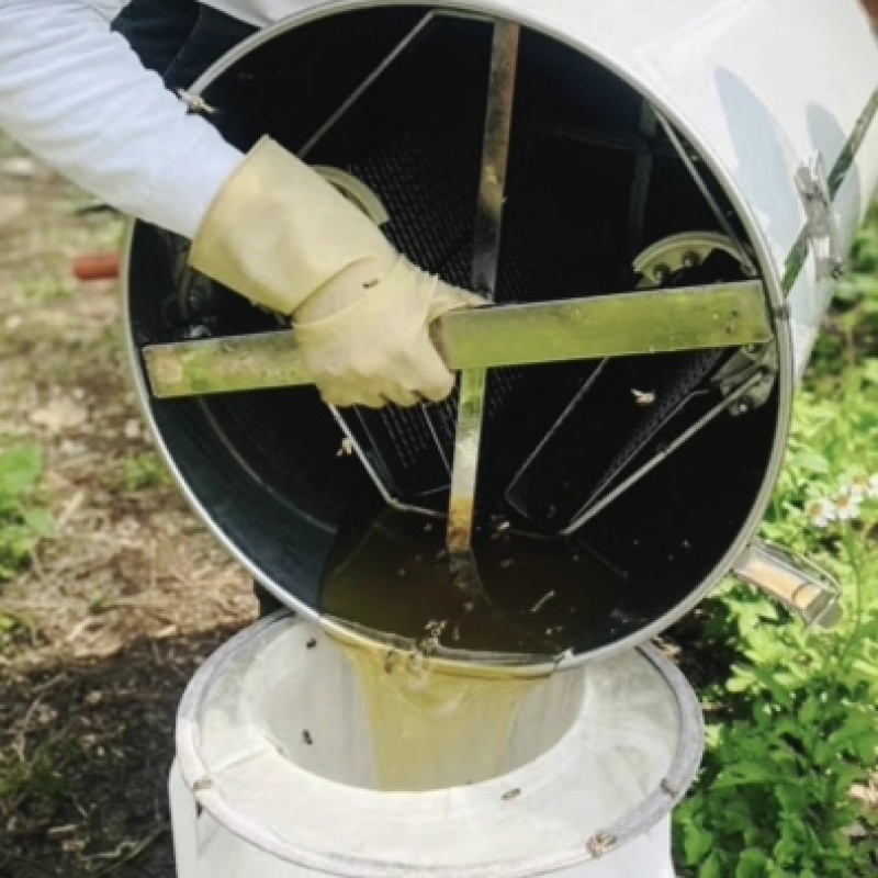 江西吉安深山蜂巢蜜野生纯正蜜巢天然农家自产成熟土蜂蜜