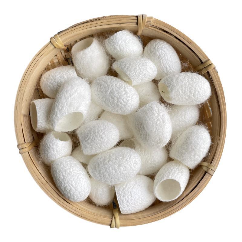 中药材蚕茧壳干蚕茧手工挑选七子白原料美容