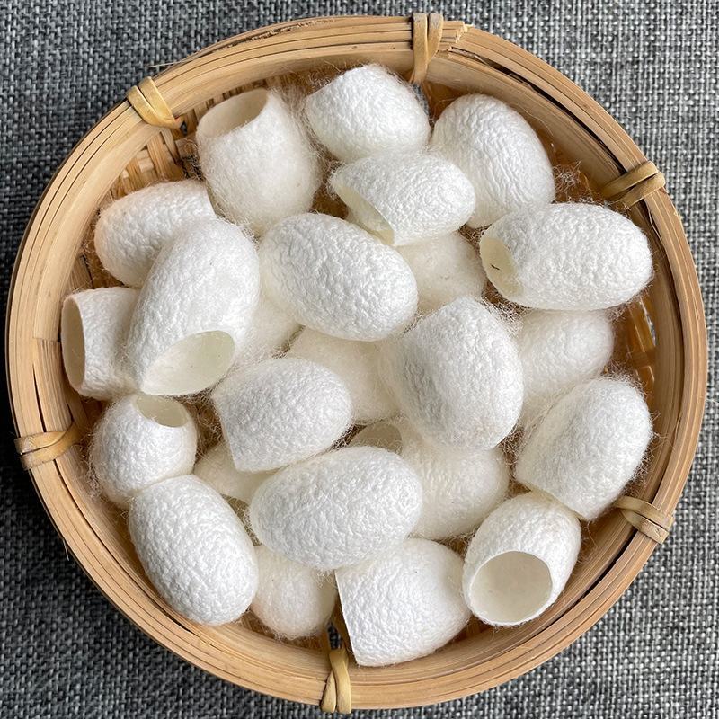 中药材蚕茧壳干蚕茧手工挑选七子白原料美容