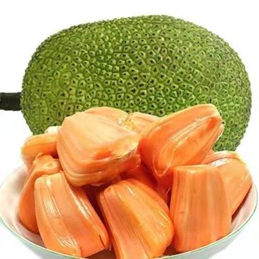 广东泰8红肉菠萝蜜，皮薄肉厚，清甜香脆，欢迎订购