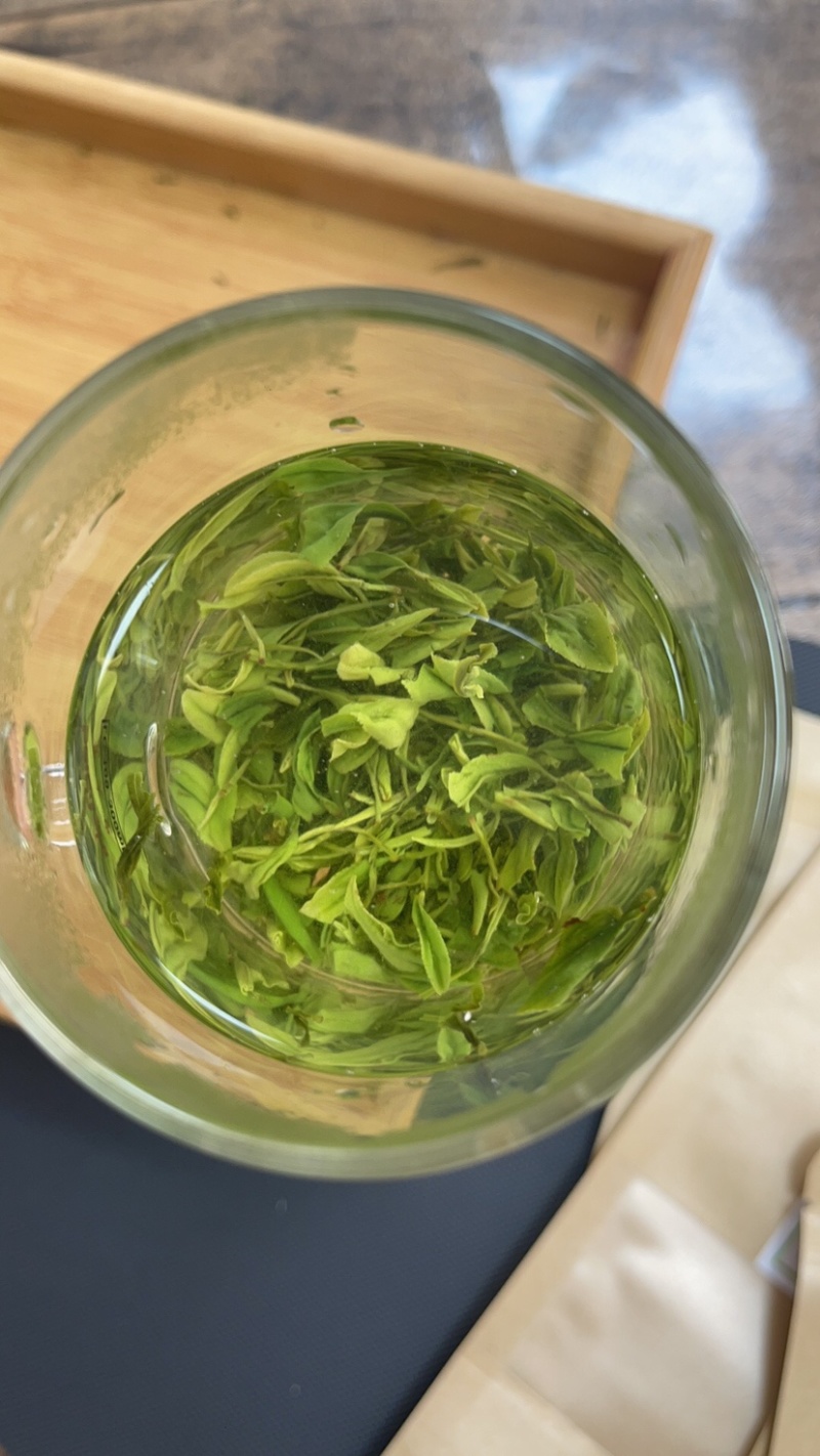 恩施玉露茶叶23年新茶批发零售可代理全国包邮