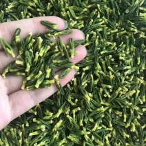 莲子心莲子荷叶莲须莲房荷花