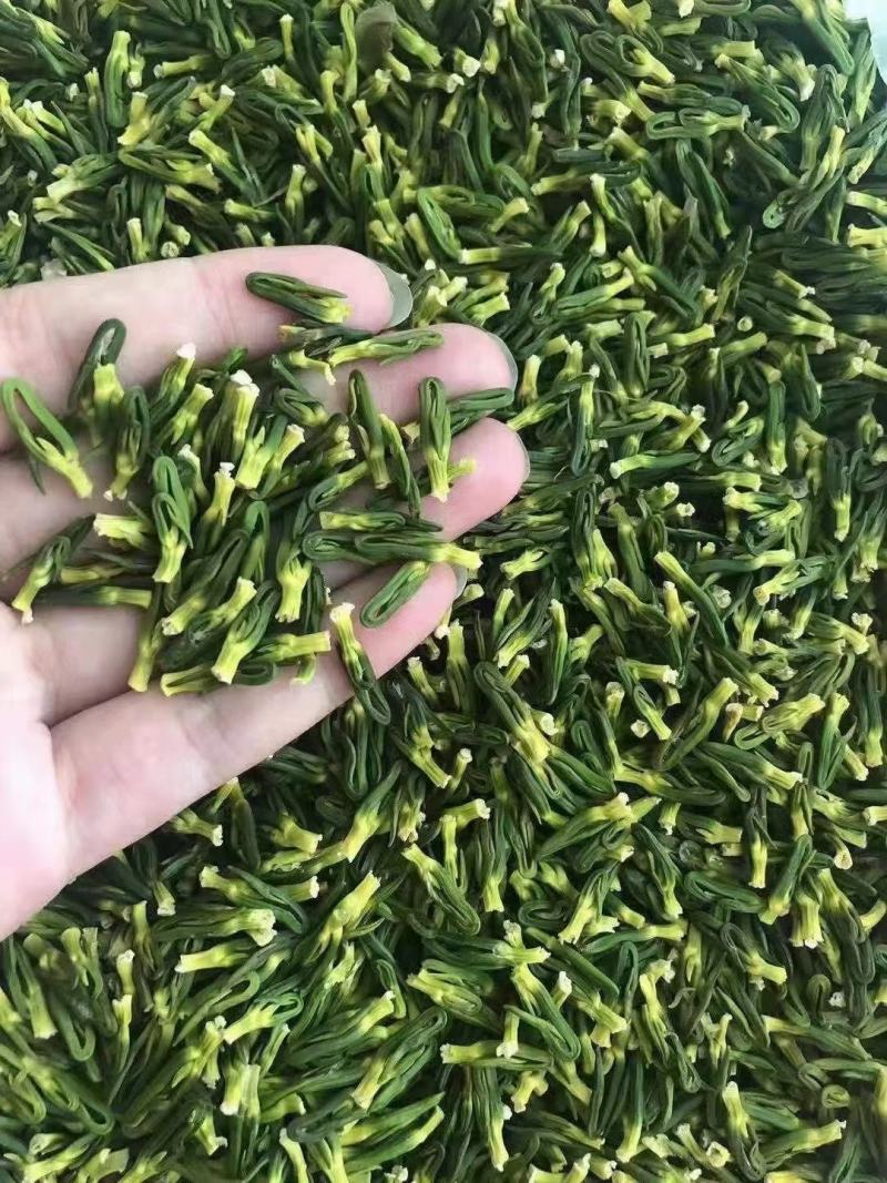 莲子心莲子荷叶莲须莲房荷花