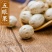 中药材产品五眼果菩提散珠五眼六通新货无硫规格齐全