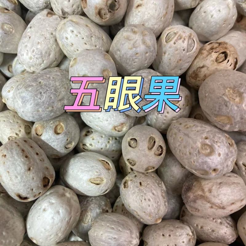 中药材产品五眼果菩提散珠五眼六通新货无硫规格齐全