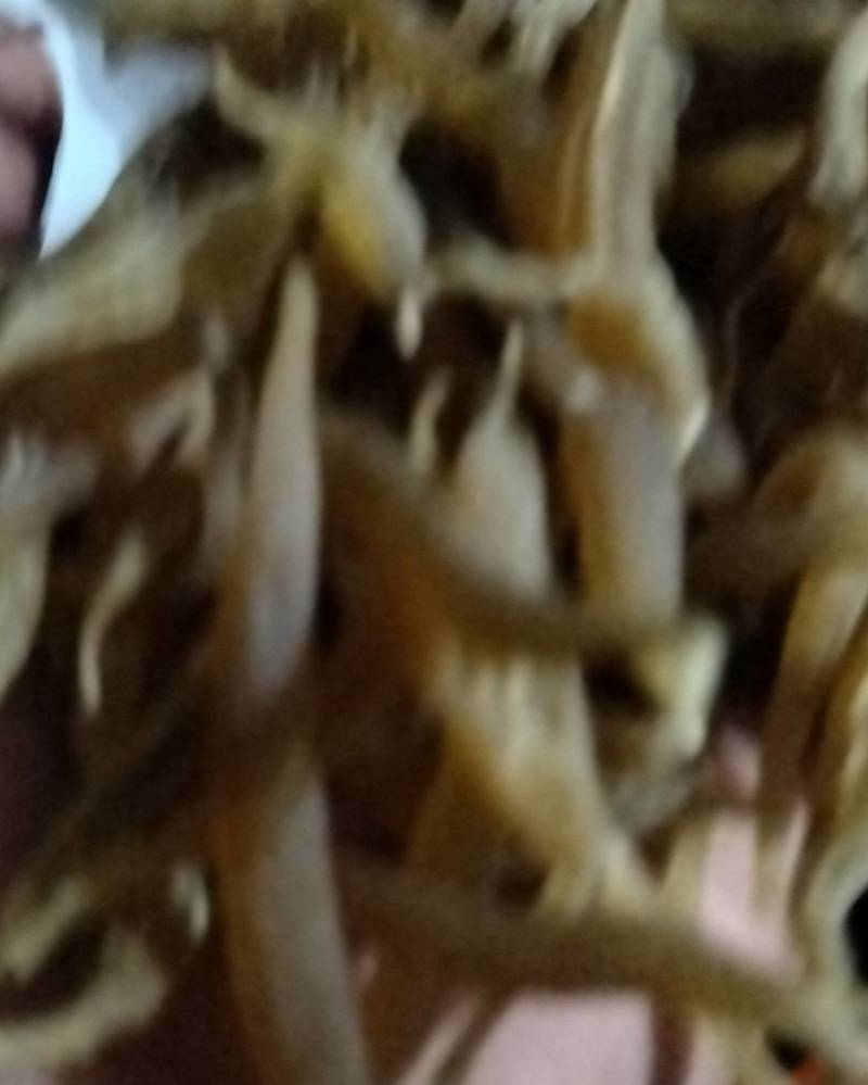 麦门冬