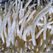 川明参沙参干货