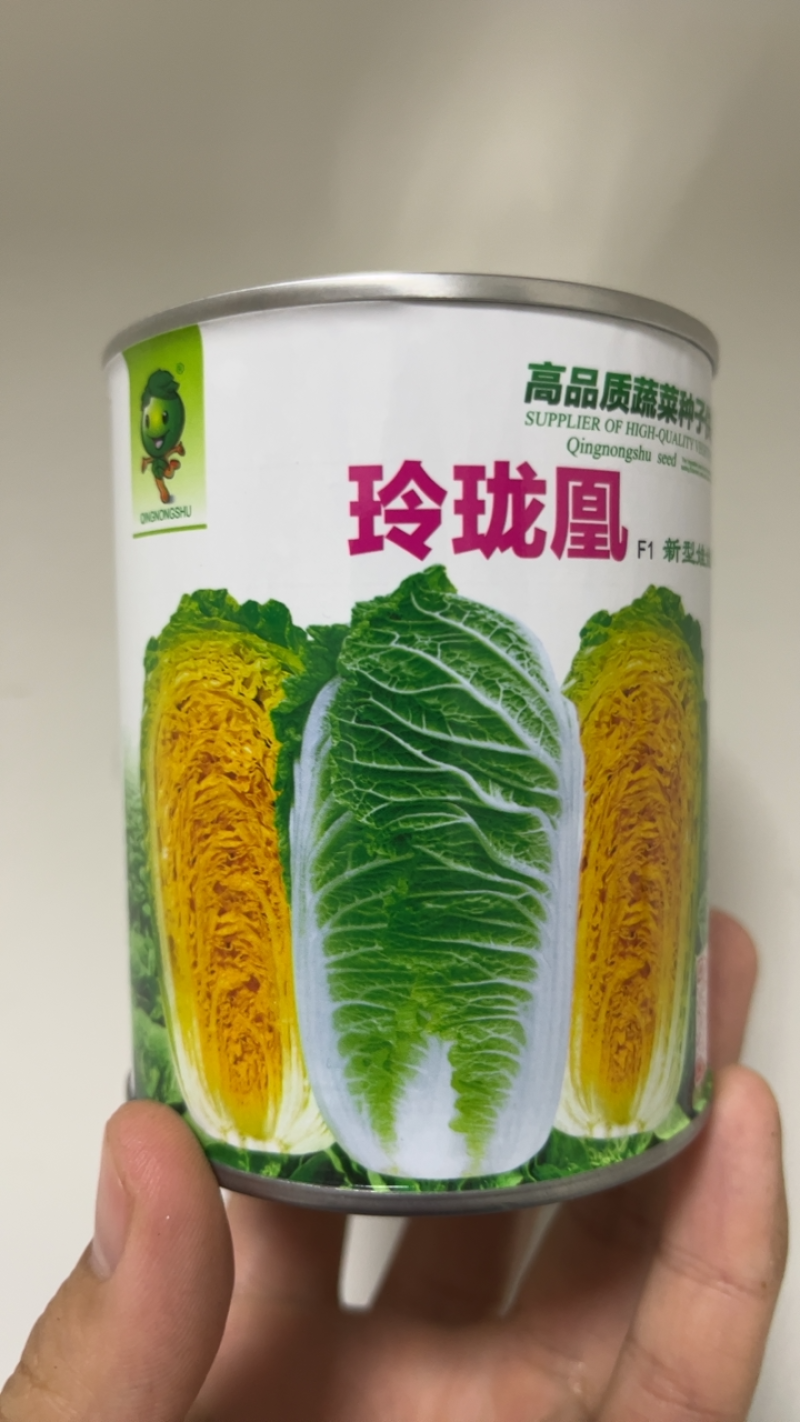 【黄心】春秋玲珑凰圆头娃娃菜商品性好产量高销路广内芯金黄