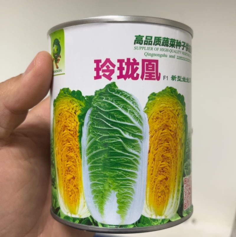 春秋玲珑凰耐抽苔耐高温圆头娃娃菜种子黄心白菜种子产量高