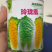 春秋玲珑凰耐抽苔耐高温圆头娃娃菜种子黄心白菜种子产量高