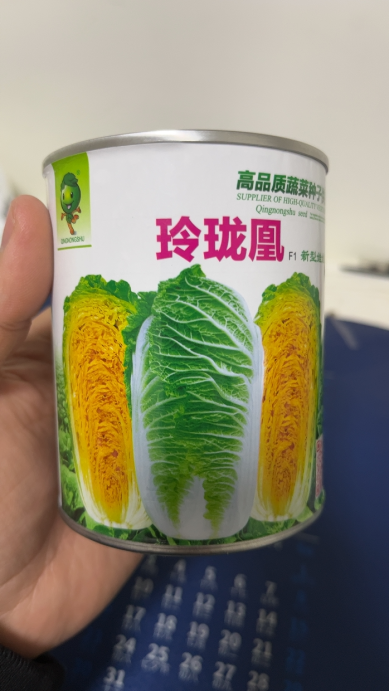 春秋玲珑凰耐抽苔耐高温圆头娃娃菜种子黄心白菜种子产量高