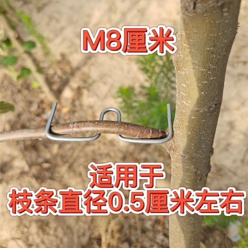 m型拉枝器果树拉枝神器w型别枝器拉枝器s压枝弯枝定型拉树