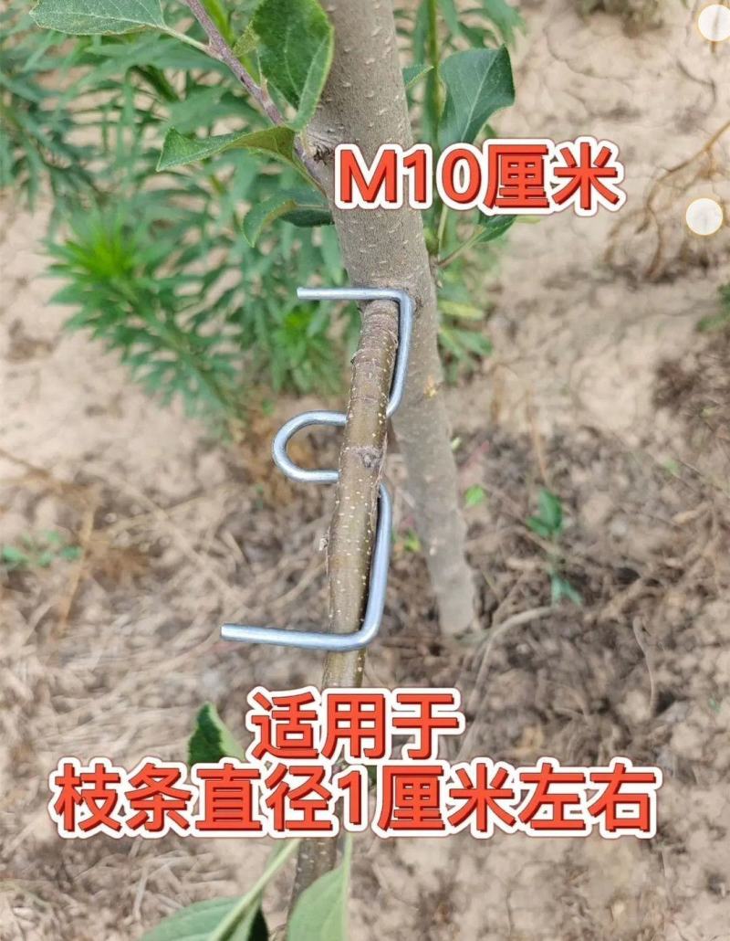 m型拉枝器果树拉枝神器w型别枝器拉枝器s压枝弯枝定型拉树